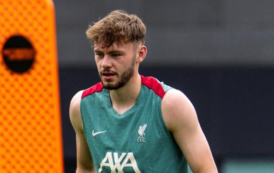 开云官网登录-邮报：即使北爱尔兰进世界杯正赛，布拉德利也几乎确定将缺席